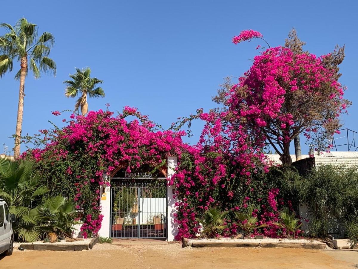 Casa Tranquila Villa San Juan de los Terreros Dış mekan fotoğraf