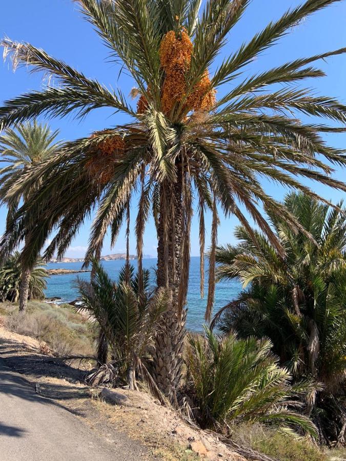 Casa Tranquila Villa San Juan de los Terreros Dış mekan fotoğraf